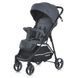 Коляска дитяча M 4249-2 Gray Matt S-M 4249-2 Gray Matt фото 1